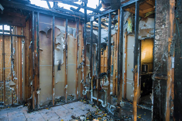 Professional Fire Damage Removal technician working in Pikesville, MD